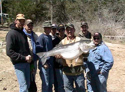 Now that is a Hog Striper