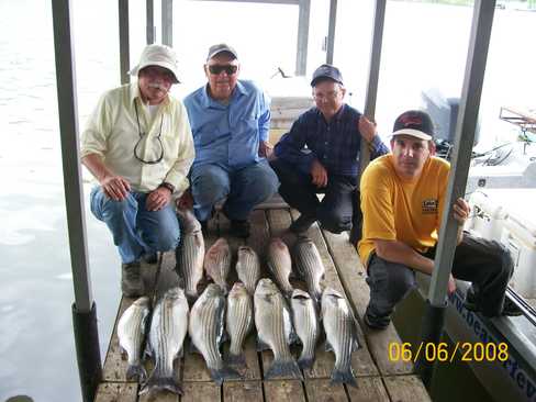 Nice Striped Bass