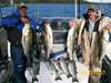 (10/23/2007) - Nice Striped Bass