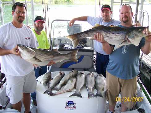 Nice Striped Bass