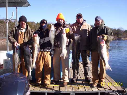 Nice Striped Bass