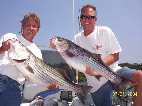 Nice Striped Bass