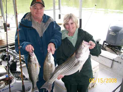 Nice Striped Bass