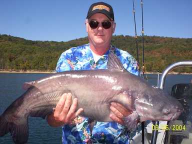 Nice Striped Bass