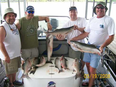 Nice Striped Bass