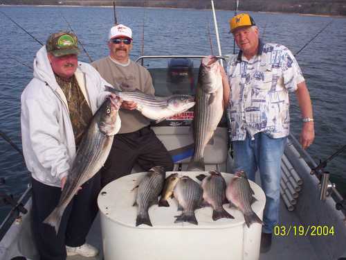 Nice Striped Bass