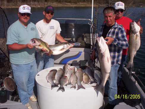 Nice Striped Bass