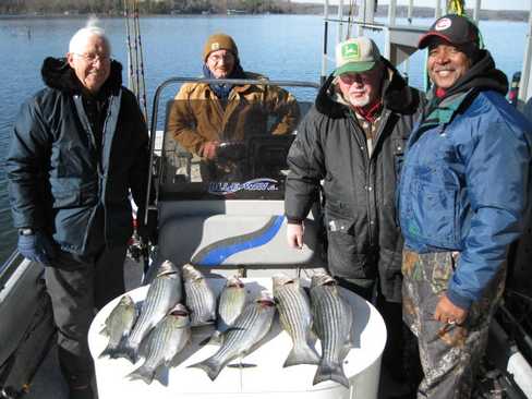 Nice Striped Bass