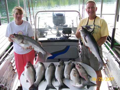 Nice Striped Bass