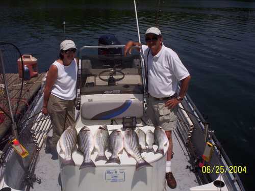 Nice Striped Bass