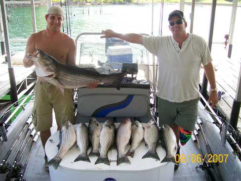 Nice Striped Bass