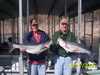 (02/27/2006) - Nice Striped Bass