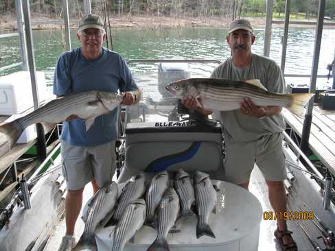 Nice Striped Bass