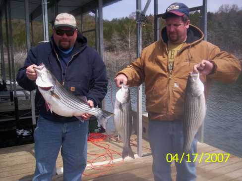 Nice Striped Bass