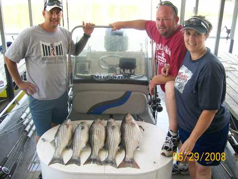 Nice Striped Bass