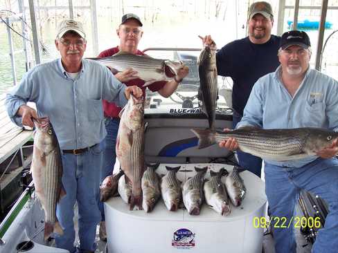 Nice Striped Bass