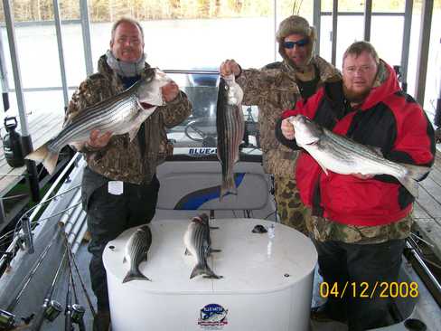 Nice Striped Bass