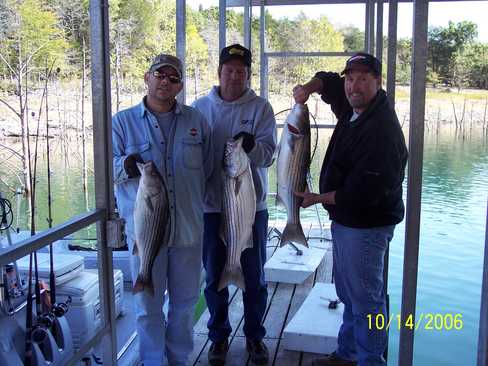 Nice Striped Bass