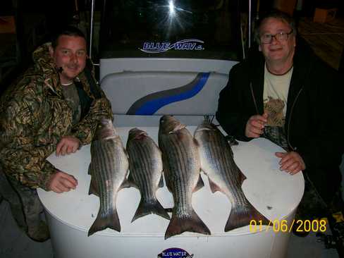 Nice Striped Bass