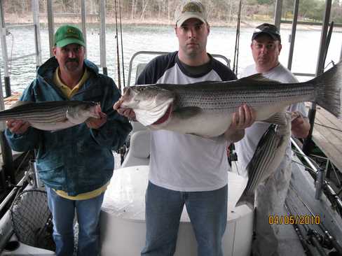 Nice Striped Bass