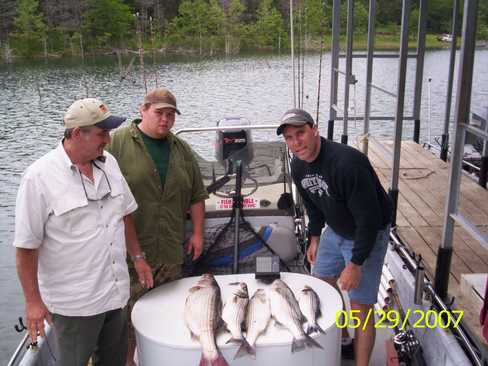 Nice Striped Bass
