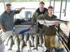 (06/06/2008) - Nice Striped Bass