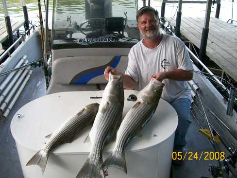 Nice Striped Bass