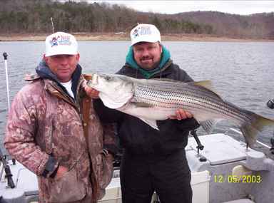 Nice Striped Bass