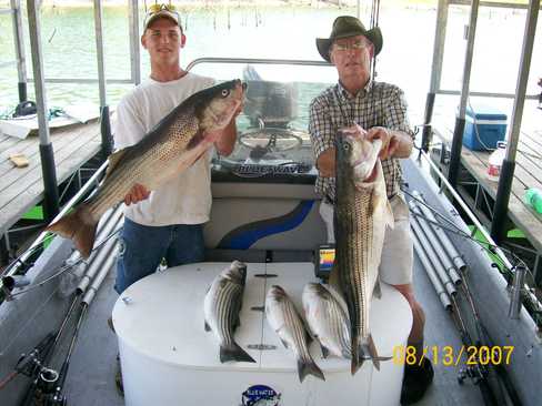 Nice Striped Bass