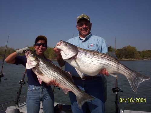 Nice Striped Bass