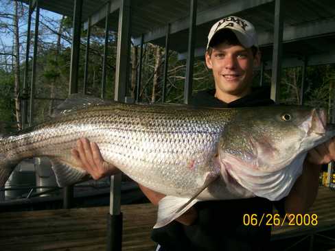 Nice Striped Bass