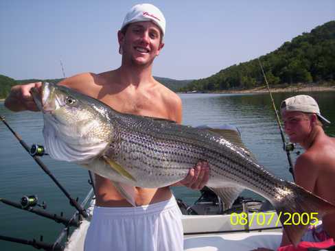 Nice Striped Bass