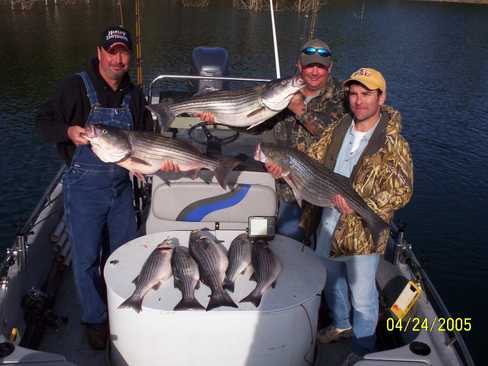 Nice Striped Bass