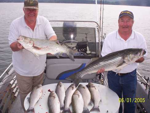 Nice Striped Bass