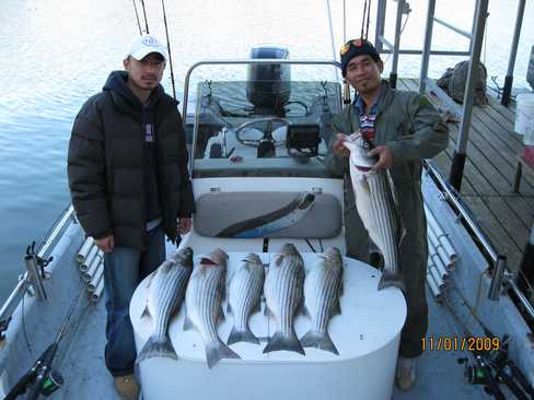 Nice Striped Bass