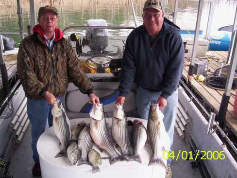 Nice Striped Bass