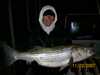 (11/23/2007) - Nice Striped Bass