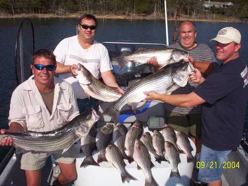 Nice Striped Bass