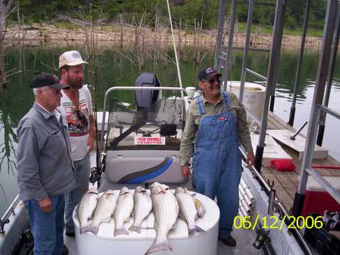 Nice Striped Bass