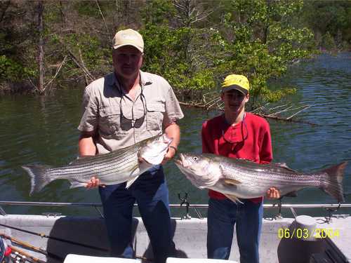 Nice Striped Bass