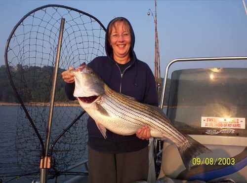 Nice Fish! -- Striped Bass