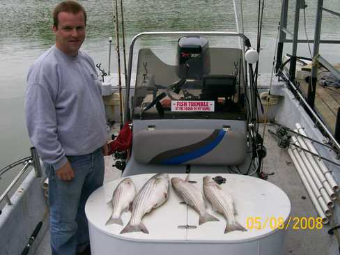 Nice Striped Bass