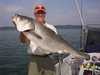 (05/24/2004) - Nice Striped Bass