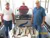 (05/18/2008) - Nice Striped Bass