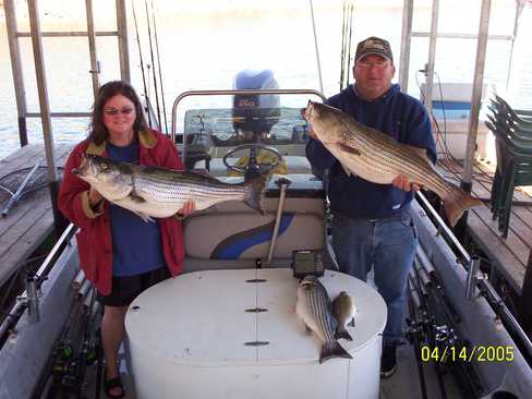 Nice Striped Bass