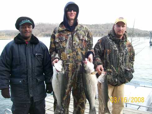 Nice Striped Bass
