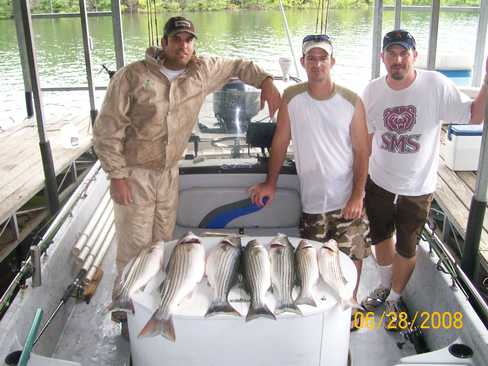 Nice Striped Bass