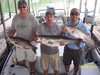 (06/24/2005) - Nice Striped Bass