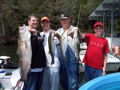 Nice mess of Stripers