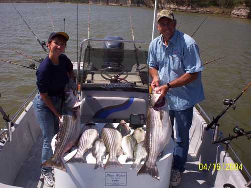 Nice Striped Bass